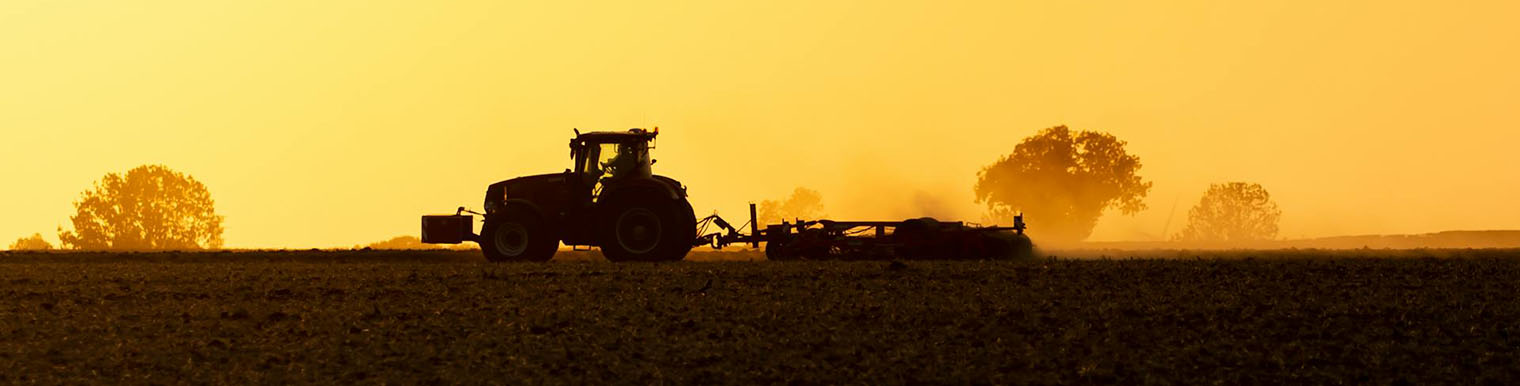 Agricultura extensiva